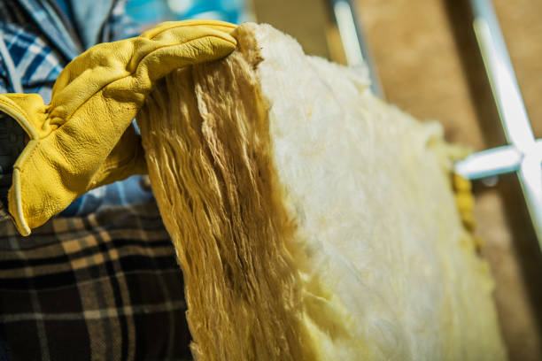 Best Insulation Materials and Products in Osceola, MO