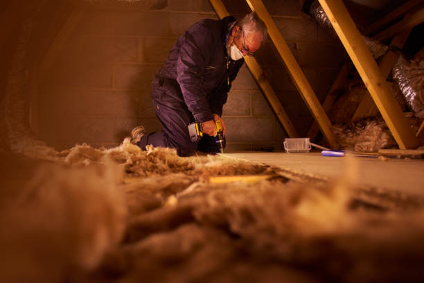 Best Insulation Installation Services in Osceola, MO